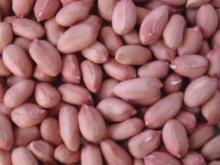 Peanuts for Sale