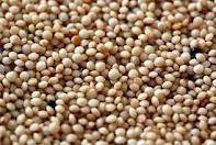 amaranth seeds