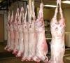 Halal Frozen Goat meat
