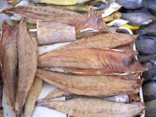 DRIED FISH - DOUBLE DOTTED QUEEN