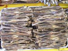 DRIED FISH -  BOMBAY  DUCK