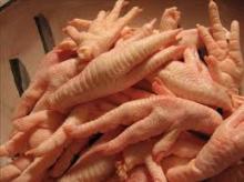  chicken   foot  & paw