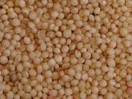 Amaranth