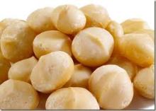 Macadamia nut