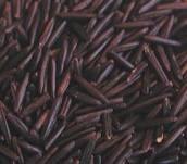Rice - Wild