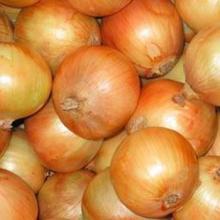 Chinese fresh yellow onion