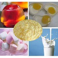 yogurt gelain