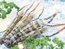Scampi