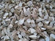 Tapioca Chips