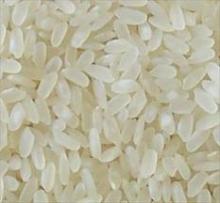 Japonica Rice