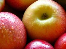 Apple juice concentrate