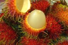 Fresh rambutan