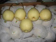 China fresh ya pears