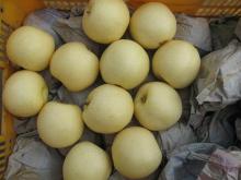 Fresh golden pear