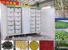 High Quatity Bean Sprout Machine