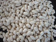 Chinese Blanched groundnut kernels