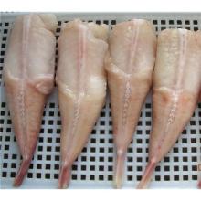 Frozen Monkfish Fillet (HG, HGT)