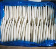  Frozen   Todarodes   Squid   Tube 