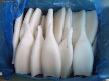 Frozen seafood  block   squid 