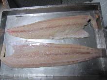 monkfish fillet