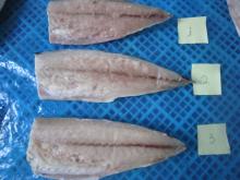 Mackerel Fillet