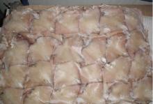 squid wings
