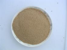 FD Rotifer-Fish food,Aquarium Fish Food,pet food