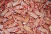Frozen Pork Front Feet