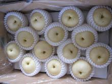 Hebei big cystal pear