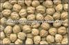 Kabuli Chickpeas 9 mm
