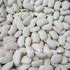 Large White Kidney Beans
