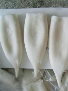 IQF Todarodes Squid Tube