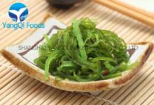  Frozen  Seasoned Seaweed