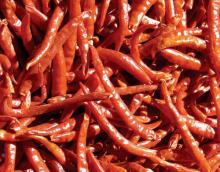 DRIED  RED   HOT   CHILLI 