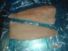 frozen pollock fillet