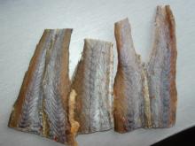 dried/salted blue whiting  block 