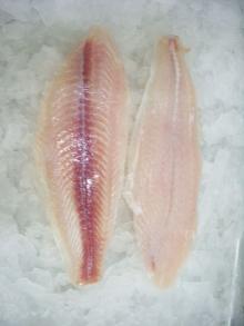 pangasius fillets semi trimmed