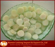 Canned water chestnut whole slice,dice