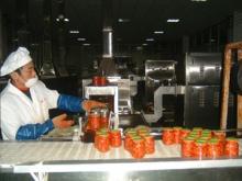spices/chil sterilizer