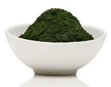  Chlorella   Powder 
