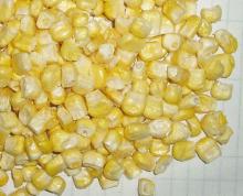 FD Sweet corn--vegetables