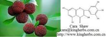 Myrica rubra extract