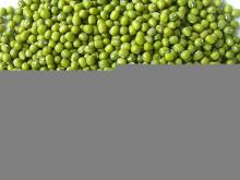 High Quality green mung beans