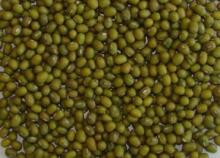 Yellow mung beans for sale