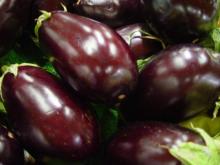 EGGPLANT EXTRACT
