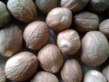 Nutmeg