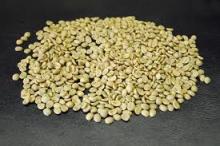 ARABICA COFFEE