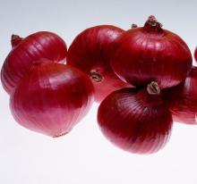 fresh onion