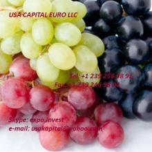 Seedless grapes