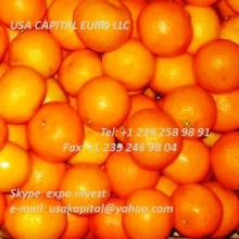 Oranges, Clementines, Mandarin